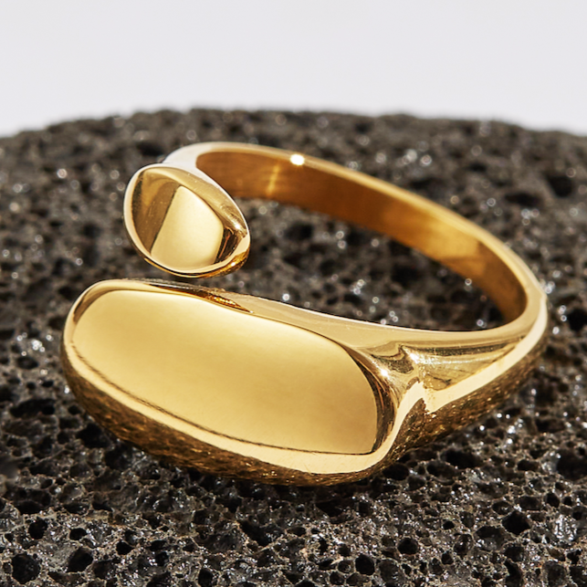 Openness Round Double Signet Ring